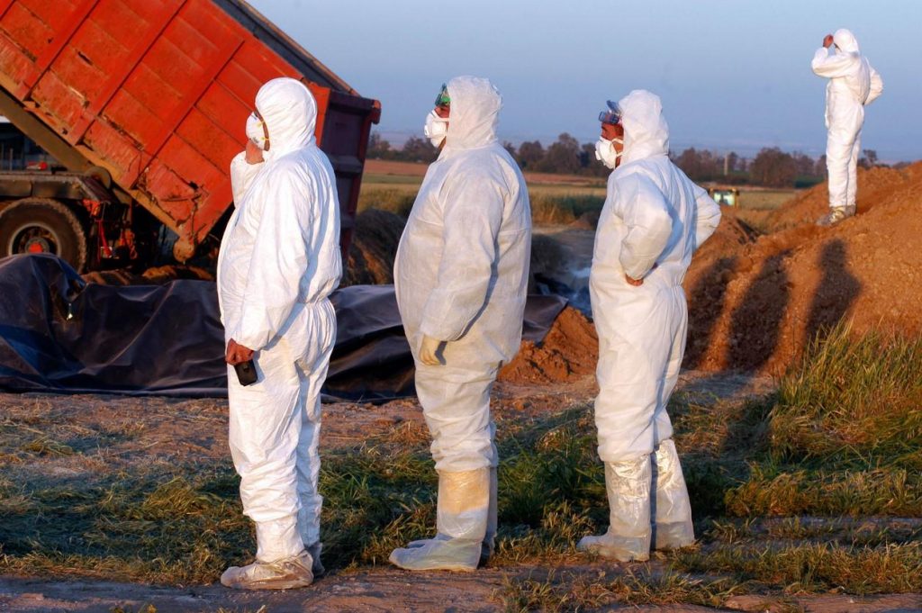 UK detects H5N1 avian flu in 2 more people as more Finnish fur farms hit (By: Lisa Schnirring)