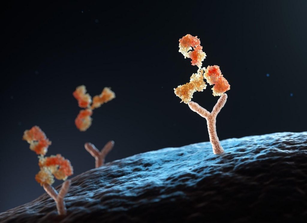 More COVID-19 studies suggest BA.2.86 may be less immune-evasive than feared (By: Lisa Schnirring)