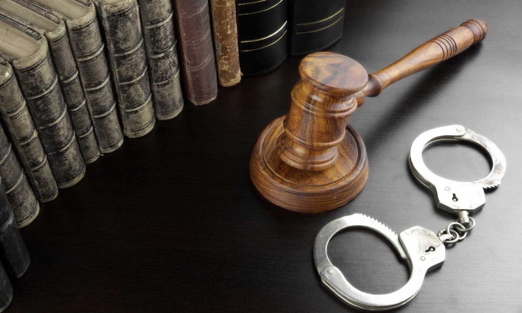 Anticipatory Bail Granted to IAS Officer’s Wife in Guava Tree Compensation Scam