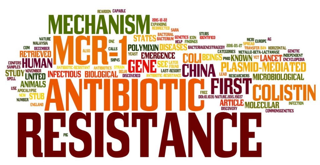 What’s in a name? Surveys highlight public’s problems with term ‘antimicrobial resistance’