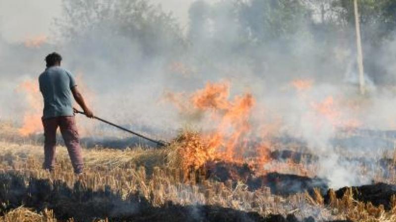 Punjab Pollution Report: Ludhiana & Rupnagar Face Worsening Air Quality due to This Reason!
