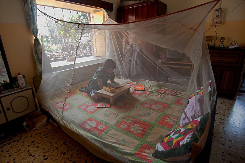 Climate change, other pressures erode malaria progress, WHO says-Lisa Schnirring