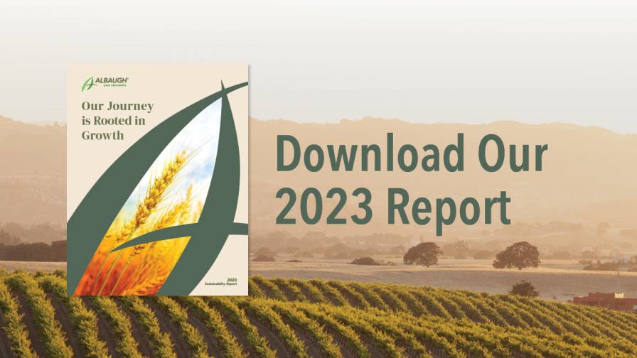 US corn production up while soybean production down from September