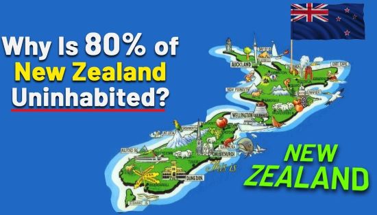 New Zealand’s Population Paradox: Immigration Masks Deeper Demographic Challenges