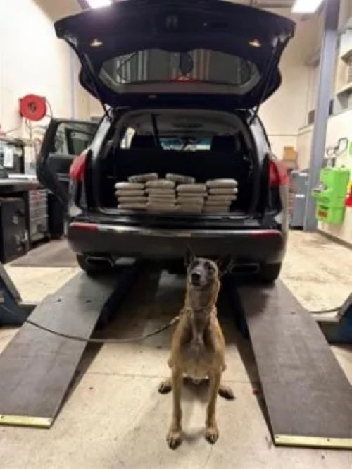 San Diego Sector Border Patrol seizes over 184 pounds of narcotics over two-week period