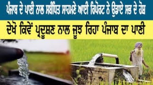 Cancer Crisis in Punjab: The Deadly Cost of Polluted Water-Satnam Singh Chahal