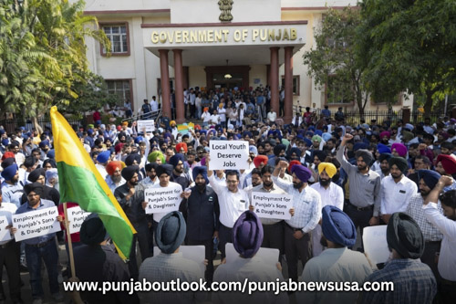 Votes from Punjabis, Government Jobs Going to Youth from Outside States: Fresh Questions Raised Over Employment Policy