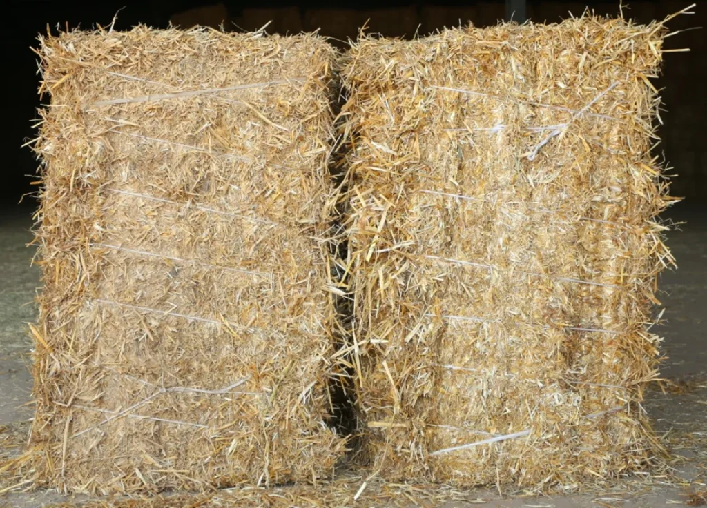 How the United States Regulates Rice Stubble Burning: Procedures, Permits and Lessons for Punjab